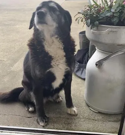 Horská chata Emlagh, Self Catering Glamping Pods Kilkee