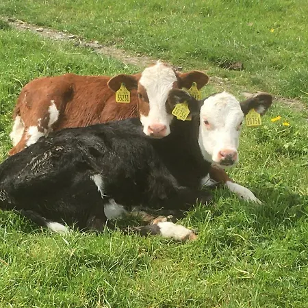 Horská chata Emlagh, Self Catering Glamping Pods *