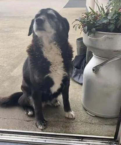 Chalet Emlagh, Self Catering Glamping Pods Kilkee