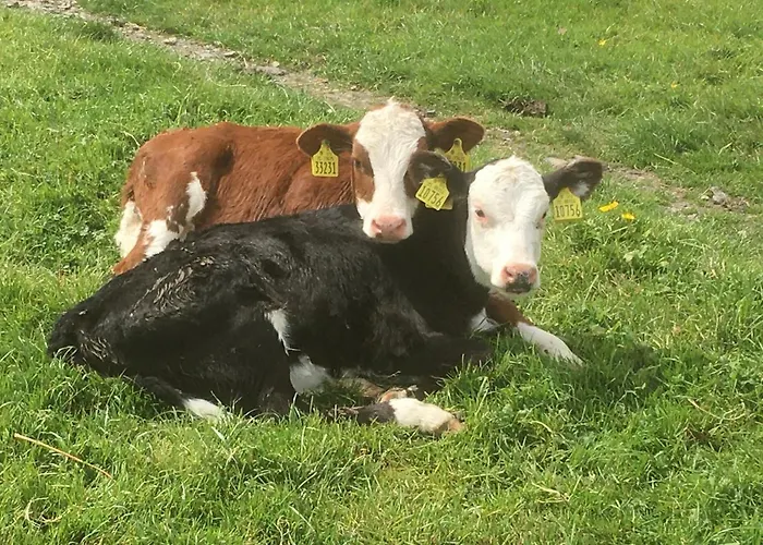 Alpesi faház Emlagh, Self Catering Glamping Pods *