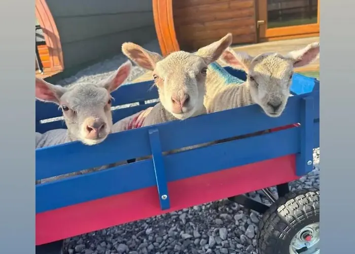 Emlagh, Self Catering Glamping Pods Kilkee